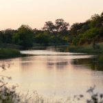DIGITAL ZEN • Digital Detox Retreat • 100% Offline. Ohne Cheat. Erfahre Natur • Gemeinschaft • Wahrhaftigkeit.